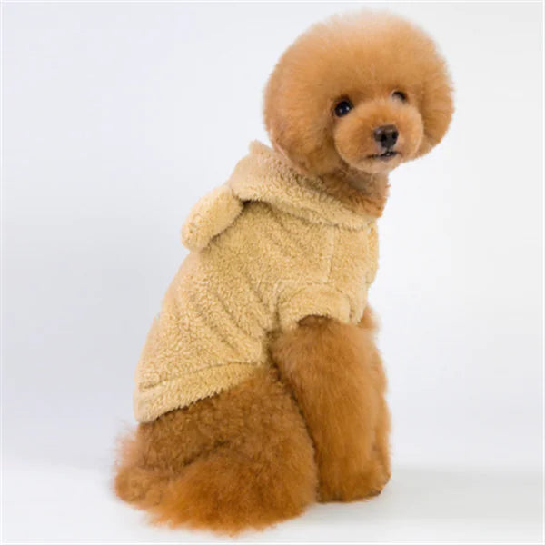 Apparel and Accessories