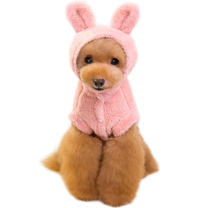Apparel and Accessories
