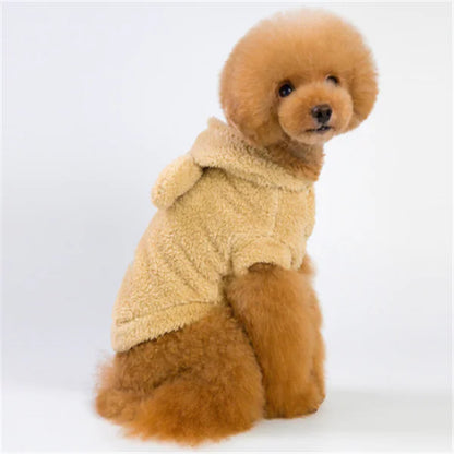 Apparel and Accessories