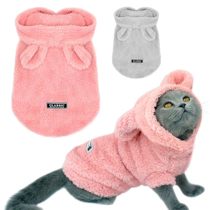 Apparel and Accessories