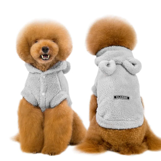 Apparel and Accessories