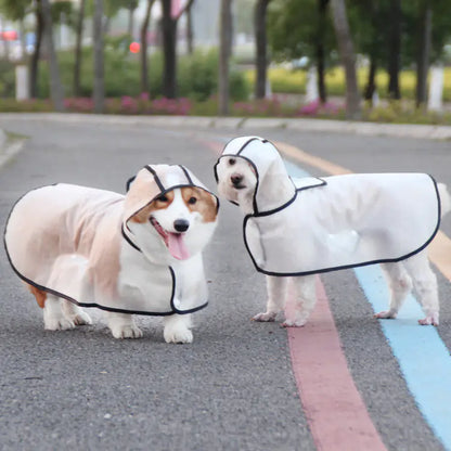 TPU Dog Raincoat for Small Breeds - In Stock